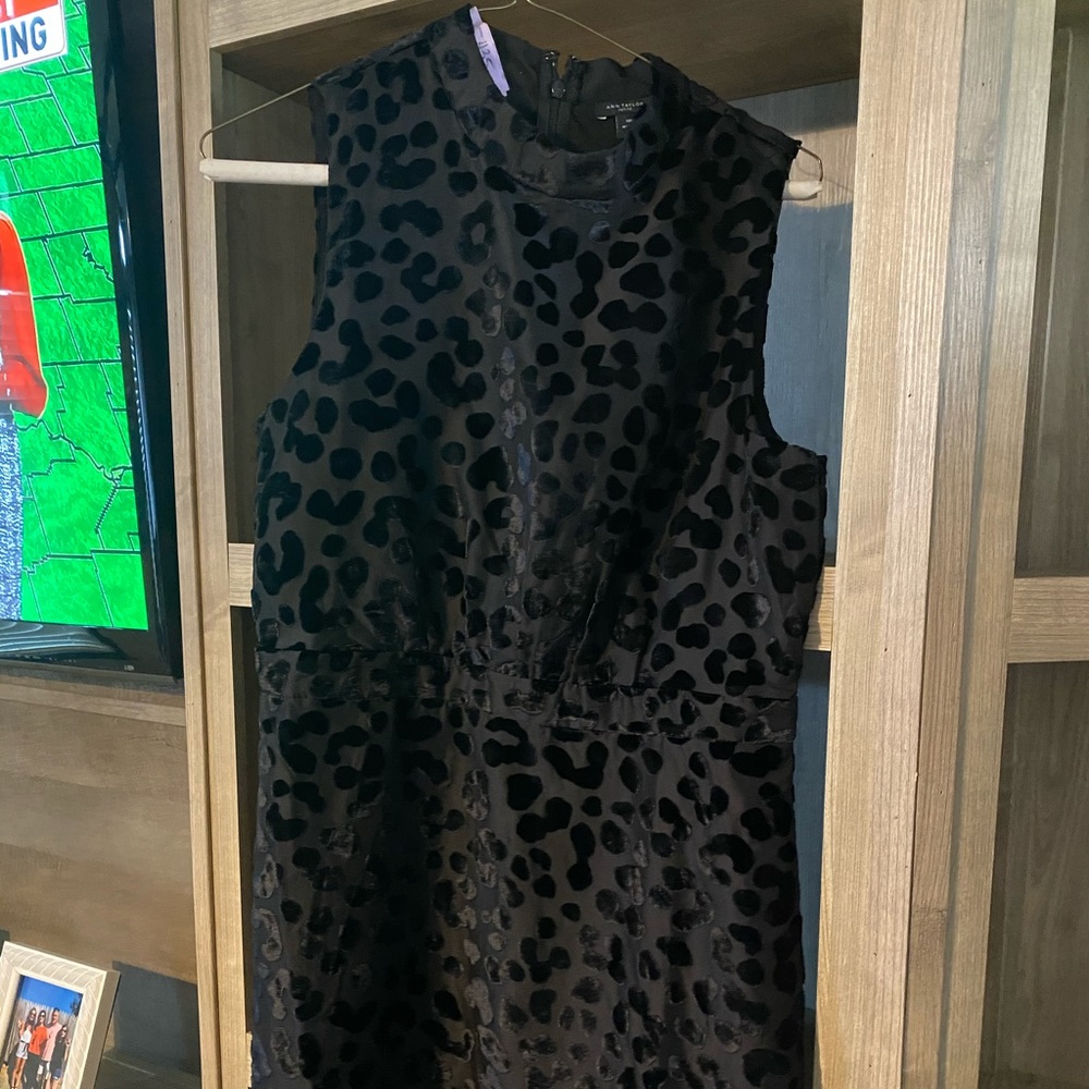 Ann Taylor black dress